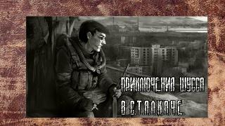 Wycc220 в С.Т.А.Л.К.А.Ч.Е. *Дедушкины рассказы* (S.T.A.L.K.E.R. Call of Misery)