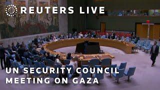 LIVE: UN Security Council holds a meeting on Gaza