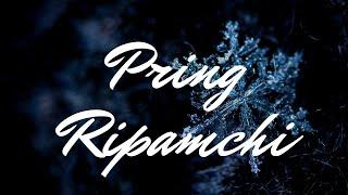 Rakseng | Pring Ripamchi (Various Artist Ft. TRIBALHEAD  OFFICIAL COVER) Bilsi Gital song.