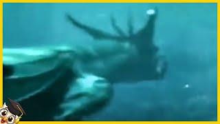 10 Criaturas Marinas Gigantes Captadas por las Cámaras