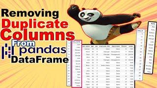 Remove Duplicate Columns from a Pandas DataFrame Automatically