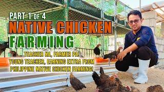 AMAZING CHICKEN FARMING | TEACHER NA, FARMER PA! YOUNG TEACHER, GET EXTRA INCOME FROM NATIVE CHICKEN