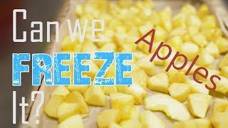 CAN WE FREEZE IT?  Fresh Apples?