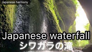 【Japanese beautiful waterfall】Trip to JapanTotoro's World、Ghibli movie、シワガラの滝、新温泉町、トトロの世界、日本の名瀑