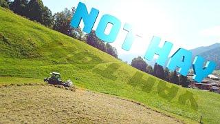 Not all hay is hay!? (Farming The Alps #18)