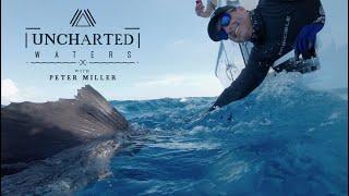 Peter Miller Fishing - Documentary on my fishing career and family