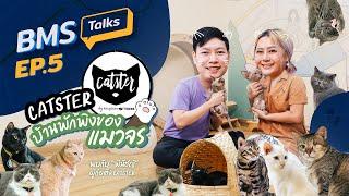 [BMS Talks] EP.5 | รู้เรื่องแมวจร ไปกับ Catster by Kingdom of Tigers