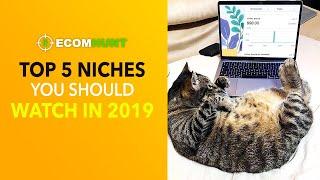 TOP 5 NICHES YOU SHOULD WATCH IN 2019 | Ecomhunt