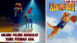 Tak Sengaja Ditemukan, Ternyata Anjing Ini Jago Main Basket | Ceritain Film 4ir Bud (1997)