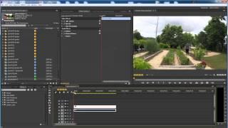 How to Export Lots of Photos from Video - Image Sequence - Adobe Premiere Pro CC