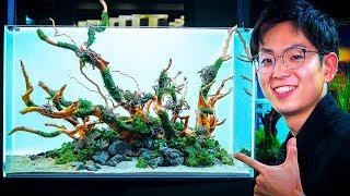 ADA AQUASCAPING WORKSHOP WITH DAICHI ARAKI AT GREEN AQUA - INTRODUCING THE AQUASKY RGB