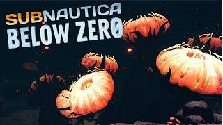 Flower Spore Garden // Subnautica Below Zero [Episode 17] (Deep Dive Update)