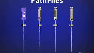 Shape Clean Pack: Glide Path Management - Path Files: Dr. Ruddle Advanced Endodontics