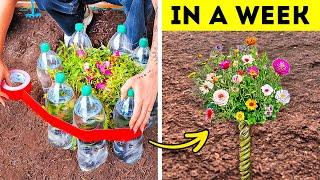 101 Genius Gardening Hacks To Transform Your Garden in a 5 Minutes!