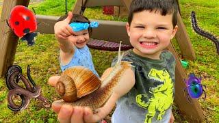 KIDS BUG HUNT at GRANDMA's HOUSE! Caleb CATCHES BUGS! GIANT SNAIL, WORMS, & SPIDERS in BACKYARD!