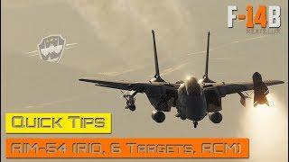 DCS World - F-14 Tomcat - AIM-54 Quick Tips (RIO, 6 Targets, ACM)