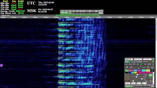 The Buzzer (4625khz) - Live