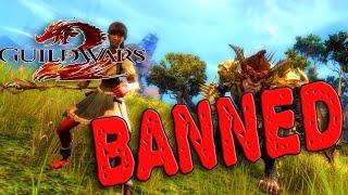 Arenanet Banned me from Guild Wars 2