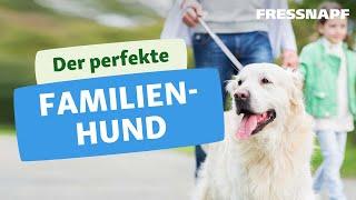 5 tolle Familienhunde