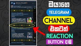 How to Add Reaction Buttons To Telegram Channel | HelaTech LK