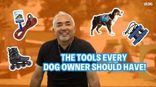 BEST TOOLS EVERY DOG OWNER SHOULD HAVE! | DOG TIPS #6