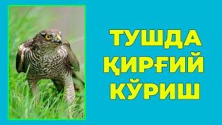 Туш табири - Тушда Киргий куриш