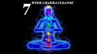RASHAD JAMAL : 7 WEEK CHAKRA CLEANSE  ( THE SOLAR PLEXUS CHAKRA ) 
