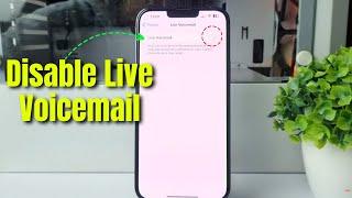 Disable iOS 18 Live Voicemail transcription : A Painful Surprise