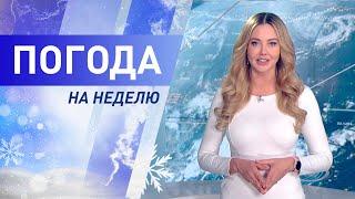 Погода на неделю 6 -12 декабря 2021. Прогноз погоды. Беларусь | Метеогид