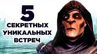 Skyrim 5 РЕДКИХ И УНИКАЛЬНЫЕ ВСТРЕЧ ( Секреты #304 )