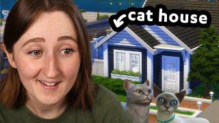 i built a CAT LADY house in the sims (it's me, i'm the cat lady)