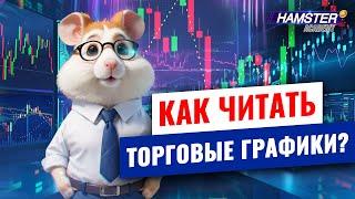 Инвестирование для начинающих: как читать торговые графики ️ Hamster Academy