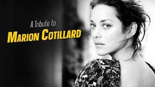 A Tribute to MARION COTILLARD