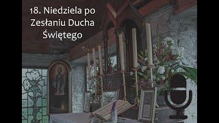 Ks. Jakub Wawrzyn, FSSPX: CZY KAŻDA CHOROBA JEST KARĄ ZA GRZECHY?