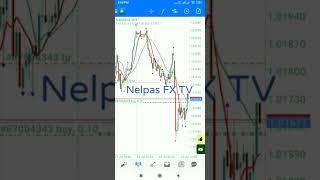 SCALPING EUR/USD 11$ RISKMANGMENT TRADING|| Nelpas FX TV