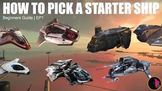 Star Citizen Beginners Guide | Picking a Starter Ship