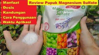 Review Pupuk Magnesium Sulfate Pak Tani - Manfaat / Fungsi, Dosis / Takaran, Cara Penggunaan