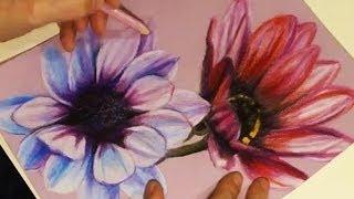 Speed Drawing - Painting Two Flowers with Colored Pencils on Rose Paper