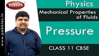 Pressure : Mechanical Properties of Fluids | Physics | Class 11 | CBSE