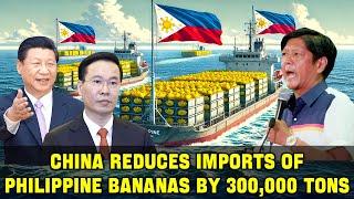 VIETNAM SUCCESSFULLY REPLACED PHILIPPINES! China Reduces Imports Philippine Bananas By 300,000 Tons