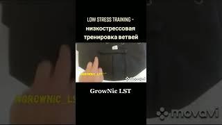 GrowNic Low Stress Training (LST)  тренировка растений