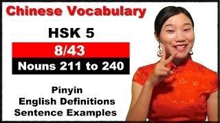 HSK 5 Course - Complete Chinese Vocabulary Course - HSK 5 Full Course / Nouns 211 to 240 (8/43)