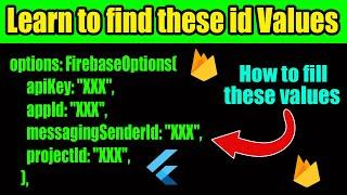 How to find api key App id Project id messengersender id | firebase options can not be null