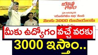 నిరుద్యోగ భృతి 3000 | Chandrababu Announce 3000 Nirudyoga Bruthi | Job less People |