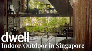 This Wild Singapore Home Connects a Couple With Nature at Every Turn