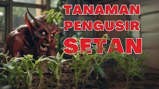  8 TANAMAN PENGUSIR JIN PALING AMPUH (dukun kalah sakti)