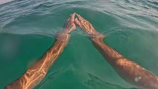 Plongée Méditerranée au Lavandou Côte d'azur (Sud de la France)