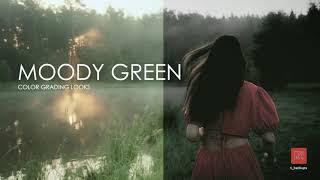 Dark moody green preset - Adobe premiere pro color grading presets #shorts