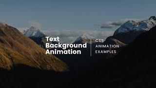 CSS Text Fill Color on hover | CSS Animation Examples