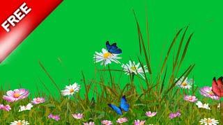 flower garden green screen video | flower green screen status | green screen grass effect video